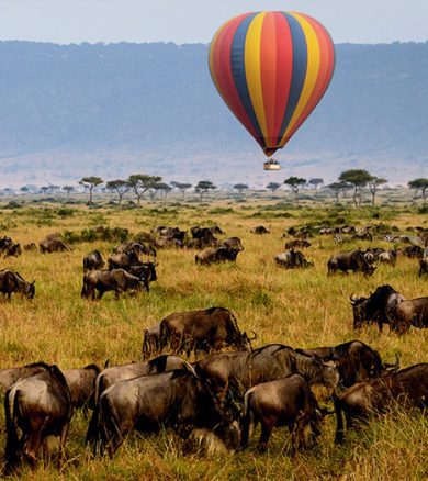 3 Days – Serengeti National Park