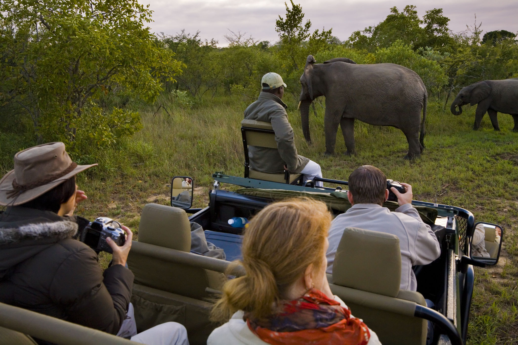 Read more about the article Tanzania Photographic Safari