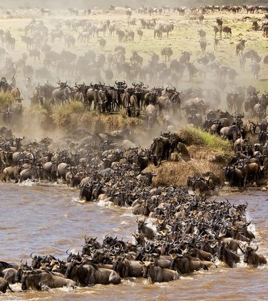 4 Days – Arusha, Serengeti and Ngorongoro Crater